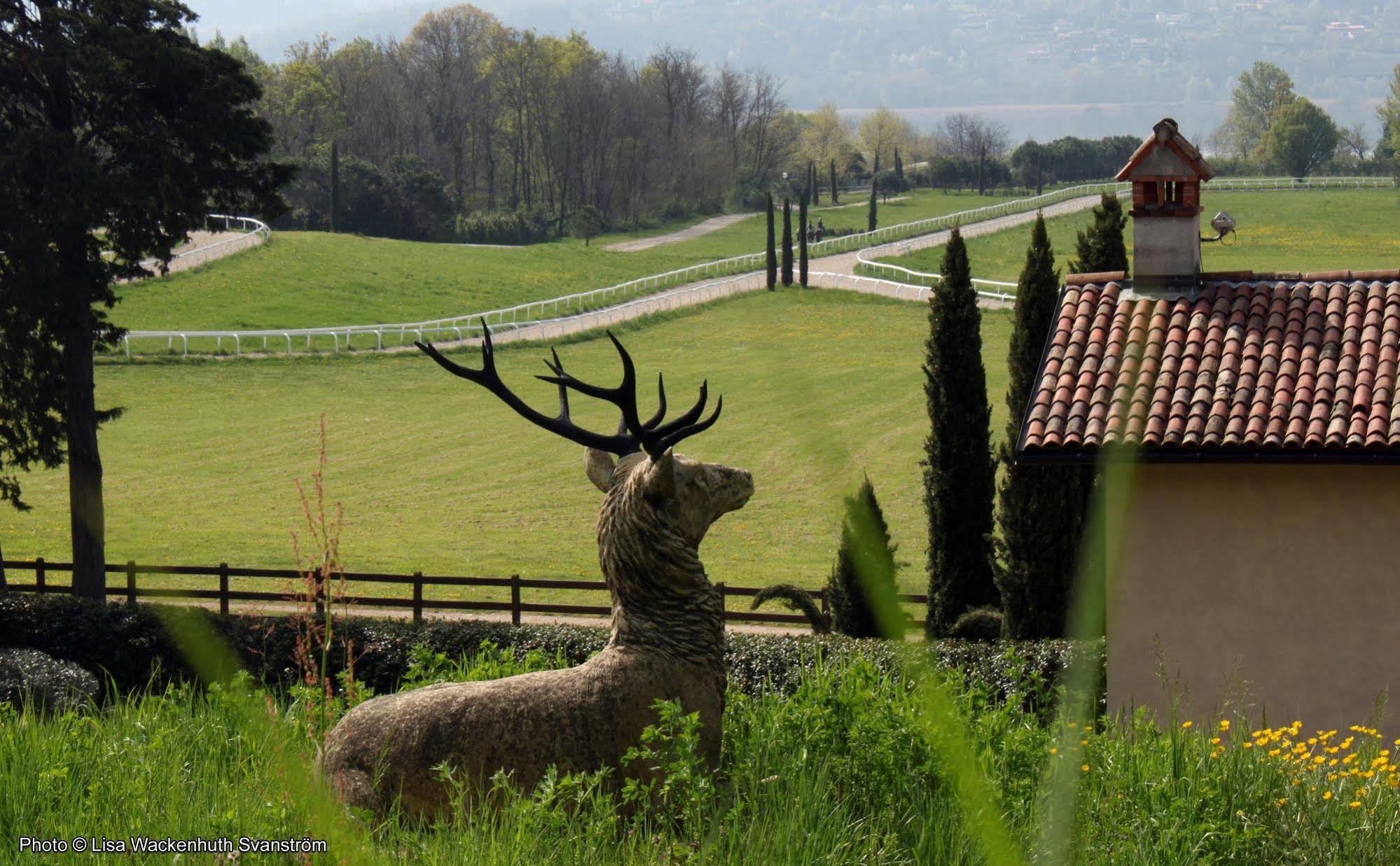 Foresteria Dei Piaceri Campestri Casciago Εξωτερικό φωτογραφία